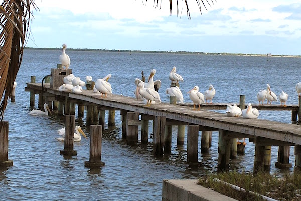 Colder temperatuers in Sebastian, Florida.