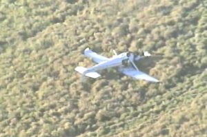 Small plane makes crash landing near Micco Road.