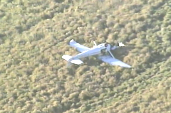 Small plane makes crash landing near Micco Road.