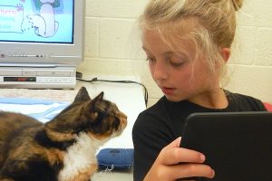 Tonilynn Napo, of Vero Beach, chats with a cat during the Humane Society's animal photography class. The shelter offers several exciting summer programs for children including dog care, an introduction to veterinary medicine for kids, cat care, pet first aid and more.