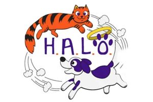 The HALO No-Kill Rescue in Sebastian presents a 5k event.