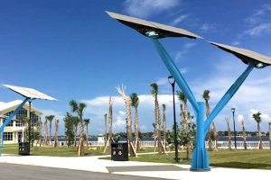 Solar trees and canopies could provide power to certain areas of Sebastian.