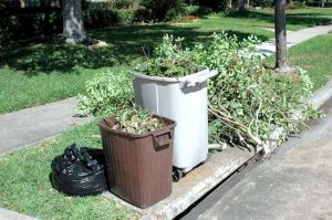 Yard waste and debris