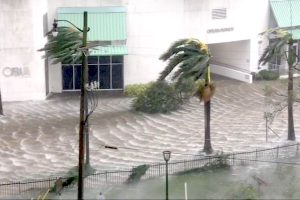 Local businesses in Vero Beach helping Hurricane Irma victims in the Florida Keys.