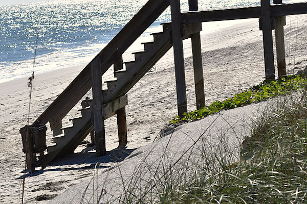 Volunteers needed in Vero Beach for beach project.