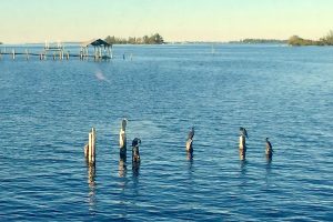 Snow flurries are possible in Florida on Wednesday, but not in Indian River County.