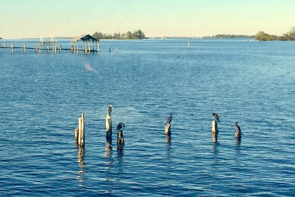 Snow flurries are possible in Florida on Wednesday, but not in Indian River County.