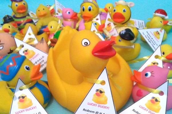 HALO's monthly "ARTISANS AT THE MALL" Arts & Crafts Event presents Find a Lucky Duck at the Indian River Mall.