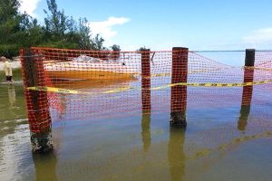 The state has removed a small dock built on an island near Sebastian.