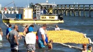 Great Duck Derby in Sebastian, Florida.