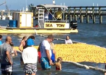 Great Duck Derby in Sebastian, Florida.