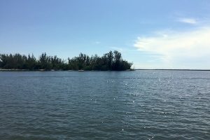 Red Tide tested positive in two small areas of the Indian River Lagoon.