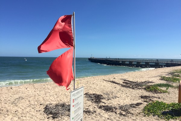 Red Tide at Sebastian Inlet State Park.