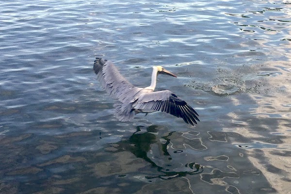 Warming up before the weekend in Sebastian, Florida.