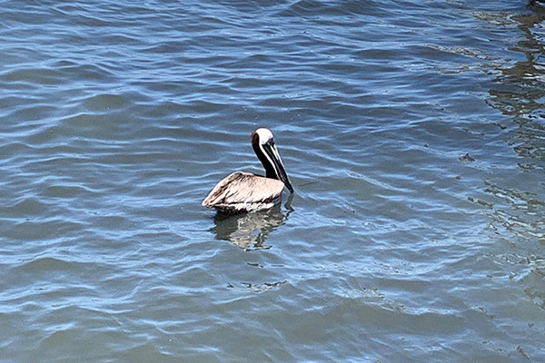 Tips for staying cool in Sebastian, Florida.