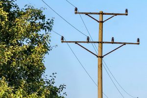 A tree trimmer died Tuesday after being electrocuted by a live power line in Sebastian, Florida.