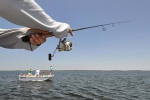 License Free Fishing / Courtesy FWC