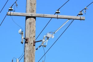 Tree trimmer injured from power line in Sebastian, Florida.