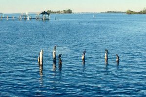 Beautiful weather on Thanksgiving Day in Sebastian, Florida.