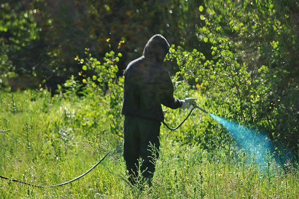 Herbicide report will be presented at the next City Council meeting in Sebastian, Florida.