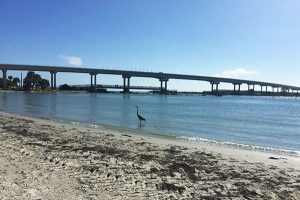 Sebastian Inlet State Park