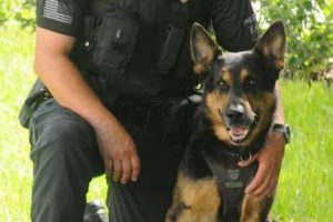 Sebastian K-9 retiring.