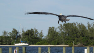 Weather in Sebastian, Florida