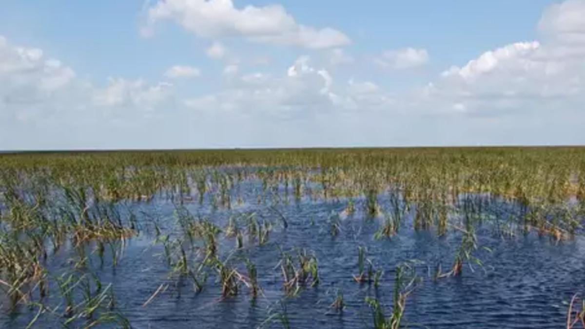 Lake Okeechobee