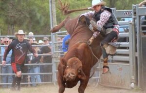 Fellsmere Riding Club