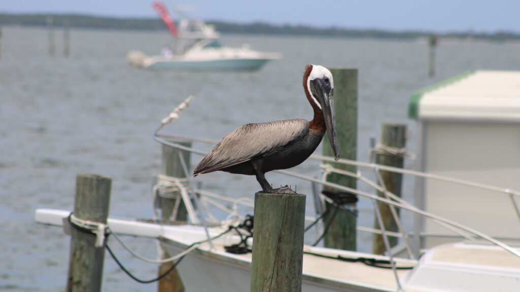 Weekend weather in Sebastian, Florida