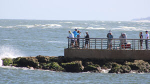 Sebastian Inlet