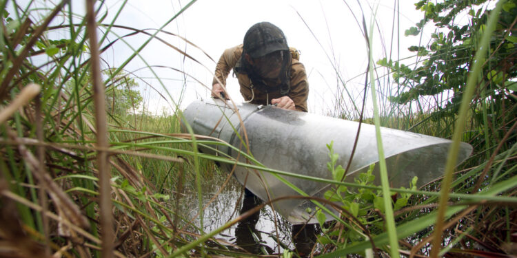 Lawrence Reeves, lead author of the study and an assistant professor and mosquito biologist at the UF/IFAS research center in Vero Beach, Florida.