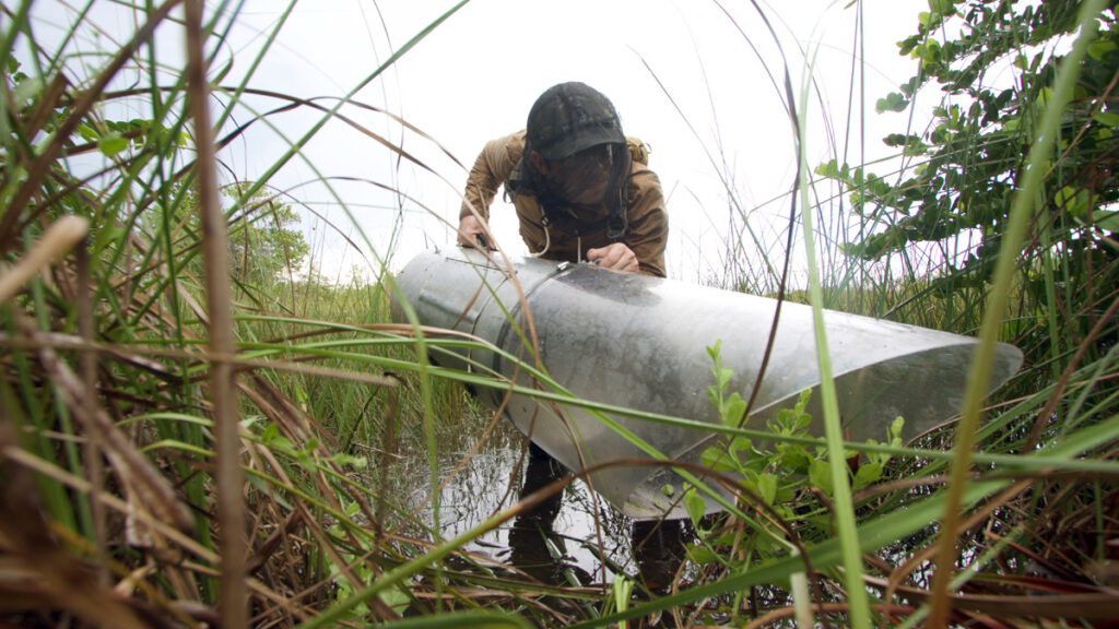 Lawrence Reeves, lead author of the study and an assistant professor and mosquito biologist at the UF/IFAS research center in Vero Beach, Florida.