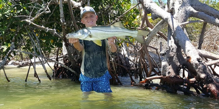 Snook Workshop (FWC)