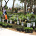 Earth Day & Arbor Day Celebration in Sebastian, Florida