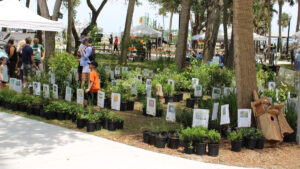 Earth Day & Arbor Day Celebration in Sebastian, Florida