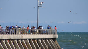 Sebastian Inlet