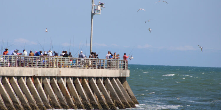 Fishing at the Sebastian Inlet North Jetty