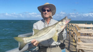 Kirby Kitchener with a snook at the Sebastian Inlet.