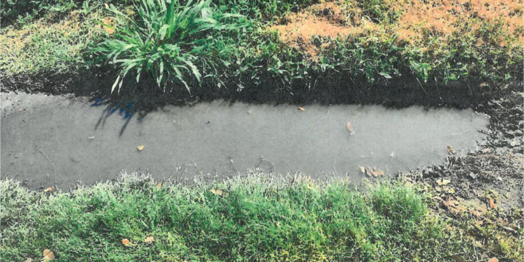 A small gutter in the parking lot near the septic system. Pictures taken by Florida Department of Health of sanitary nuisances at No Name Sports Bar in Sebastian, Florida.