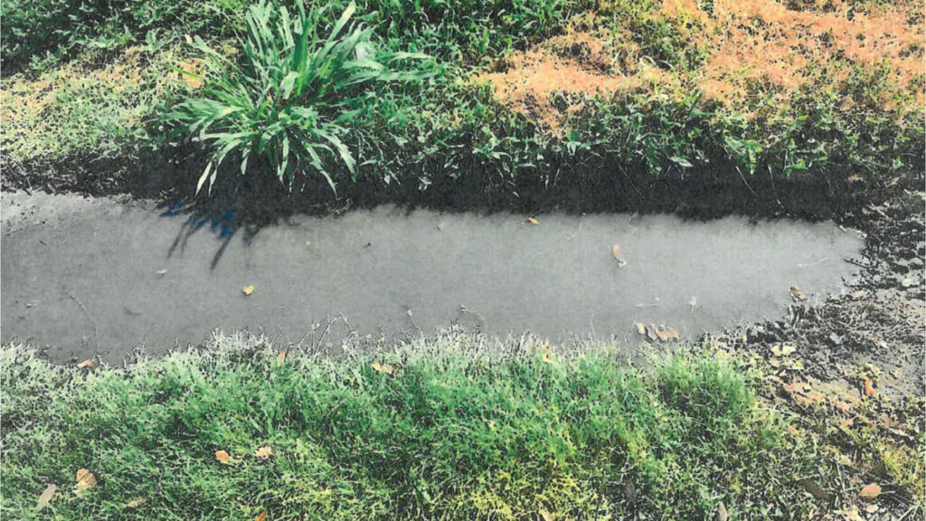 A small gutter in the parking lot near the septic system. Pictures taken by Florida Department of Health of sanitary nuisances at No Name Sports Bar in Sebastian, Florida.