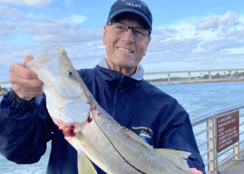 Kirby Kitchener caught this snook last week at the Sebastian Inlet.