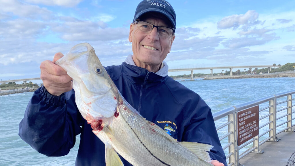 Kirby Kitchener caught this snook last week at the Sebastian Inlet.