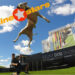 Canine Stars Stunt Dog Show