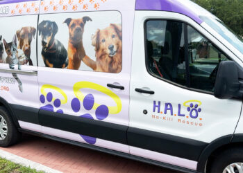 HALO No Kill Shelter