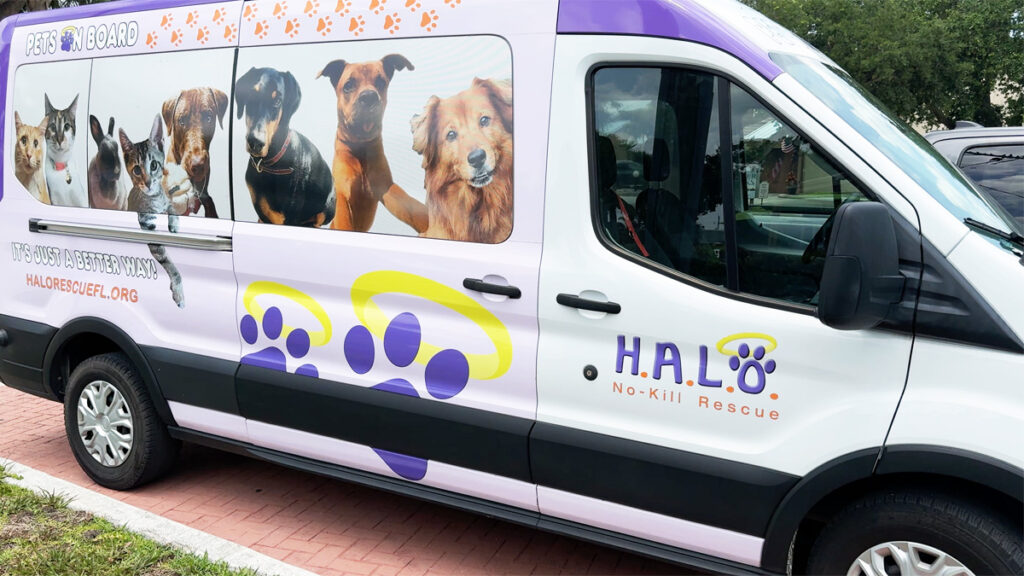 HALO No Kill Shelter