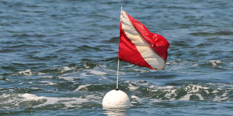 FWC Encourages Awareness and Divers-Down Flag Compliance (Credit: FWC)