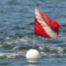 FWC Encourages Awareness and Divers-Down Flag Compliance (Credit: FWC)