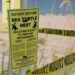 Sea Turtle Nest (Tim Donovan/FWC)