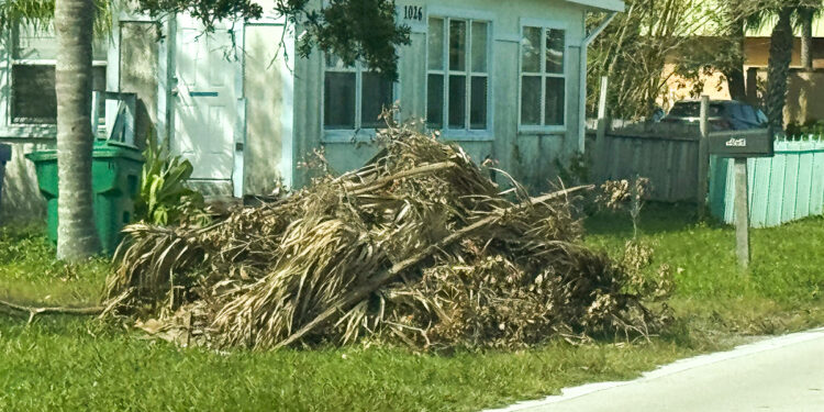 Hurricane Milton debris